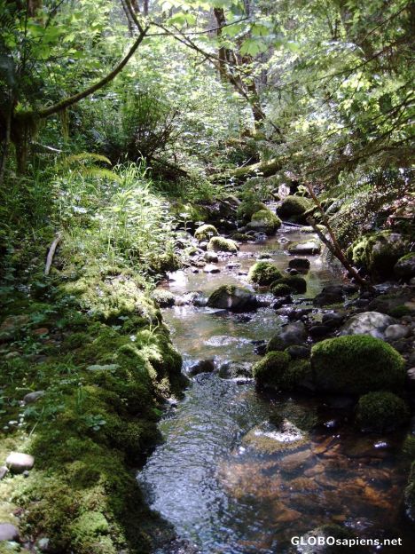 Postcard Creek near Port Alberni