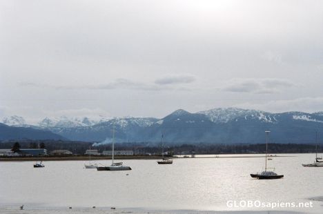 Postcard Comox Lake