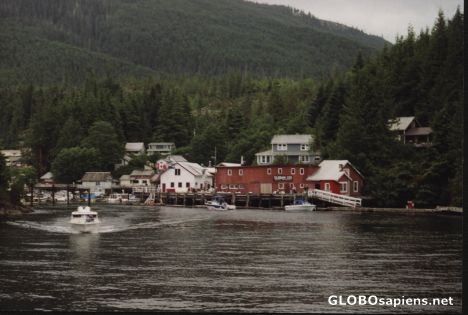 Postcard telegreaph cove from the boat