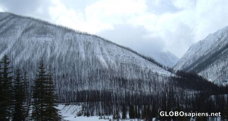 Postcard Mountain scarred by a forest fire