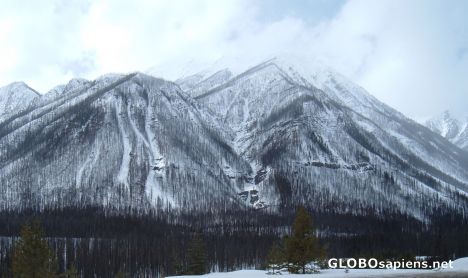 Postcard Mountain scarred by a forest fire