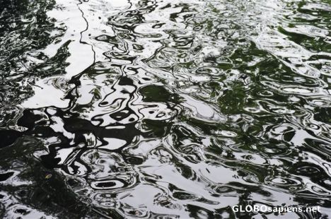 Postcard Reflextions in the Water