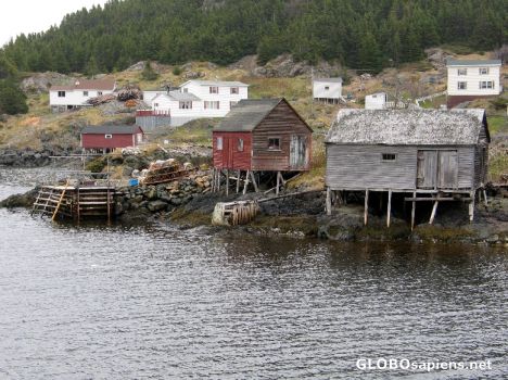 Postcard Moreton´s Harbour nearby Twillingate