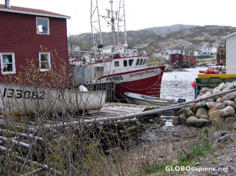Postcard Salvage Harbour - Bonavista Bay