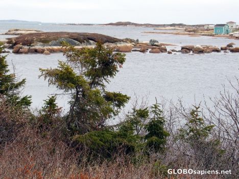 Postcard Newtown - Bonavista Bay