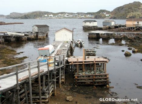 Postcard Durell nearby Twillingate