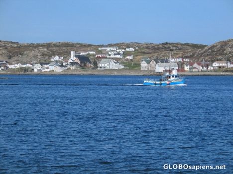 Postcard Sunny Twillingate