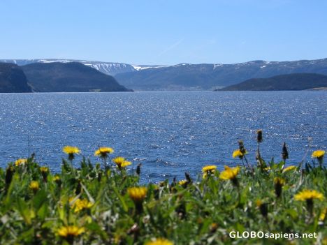 Postcard View across Bonne Bay to the Tablelands Plateau