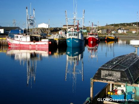 Postcard Cow Head Harbour