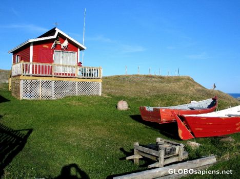Postcard Cow Head - fishing hut