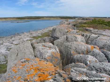 Postcard Port au Choix