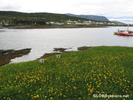 Postcard Rocky Harbour