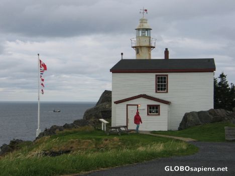 Postcard Rocky Harbour - Lobster Cove Head Lighthouse