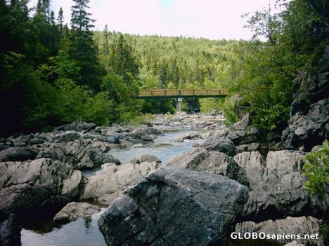Postcard Upper Stream section of Corner Brook Stream Trail