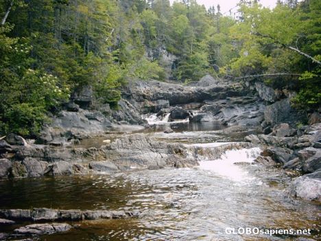 Postcard Corner Brook Stream