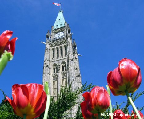 Postcard Parliament Building