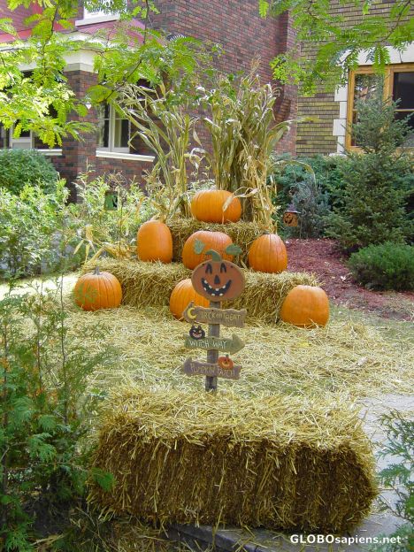 Postcard Halloween in Ottawa