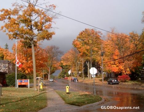 Postcard Rockwood/Guelph Ontario