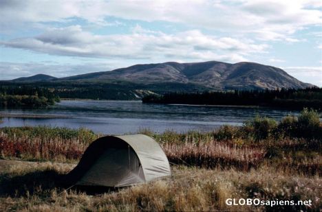 Postcard Mouth of the Big Salmon River to the Yukon