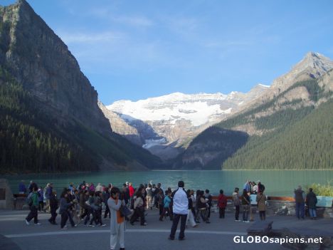 Postcard lake louise