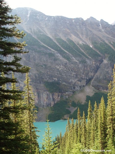 Postcard lake louise