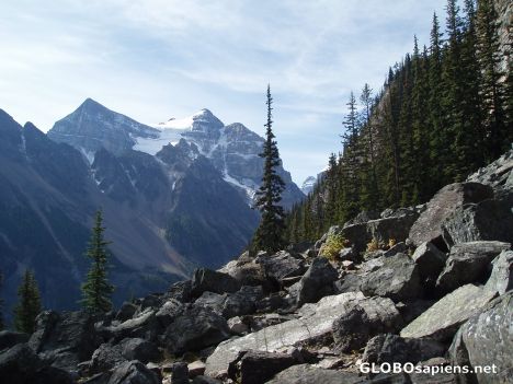 Postcard lake louise