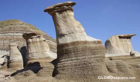 Postcard Several Hoodoos