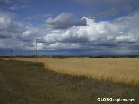 Postcard Prairie Storm