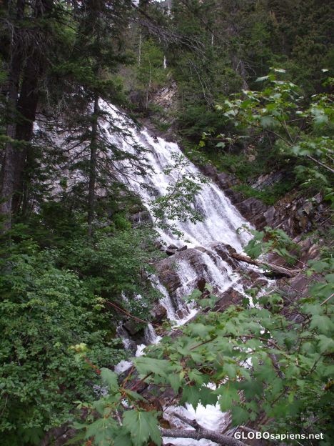 Postcard Bertha Falls