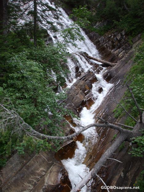 Postcard Bertha Falls