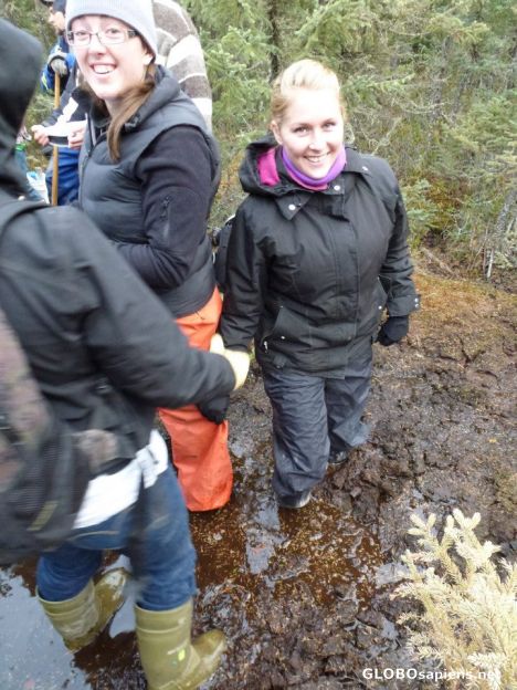 Postcard deep peat sampling in bog @ Whitney Lakes AB