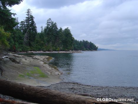 Postcard Desolate Pacific Shoreline
