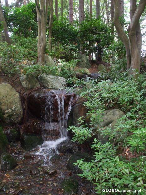 Postcard Waterfall at UBC Japanese Garden