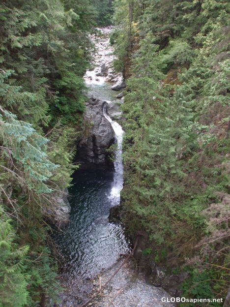 Postcard Lynn Canyon Suspension Bridge