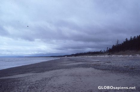 Postcard The beach