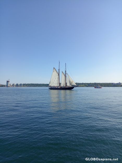 Postcard Bluenose II