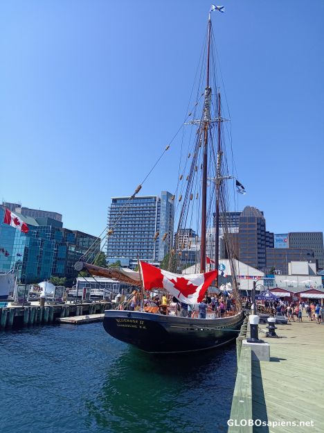 Postcard Bluenose II 2