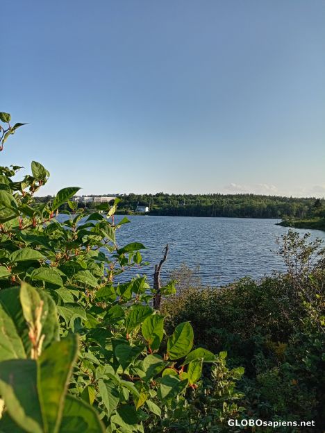 Postcard Lovett Lake