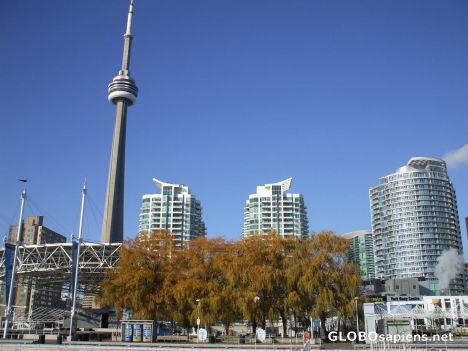 Postcard Toronto Skyline
