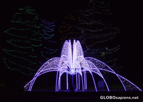 Postcard Zimmerman Fountain