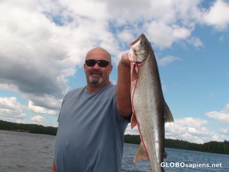 Postcard A Gibi Lake Lake Trout