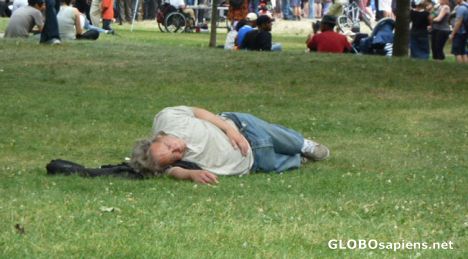 Postcard Picnic at Queen's Park in Toronto