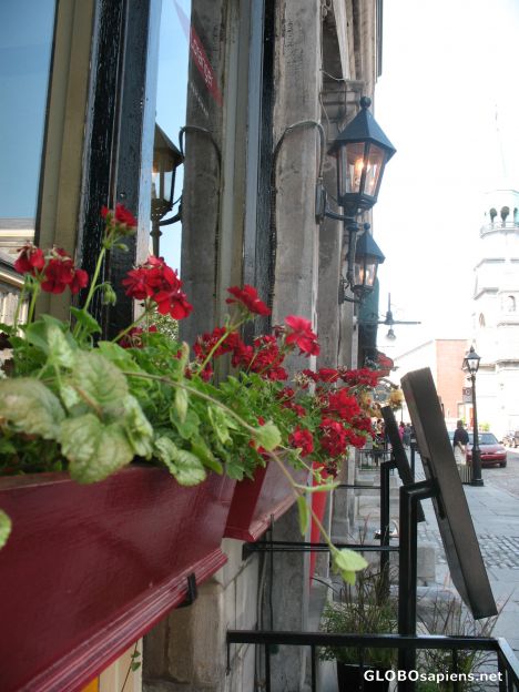 Postcard Cafe in Old Montreal