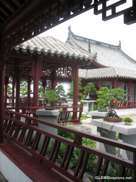 Postcard In the Chinese garden