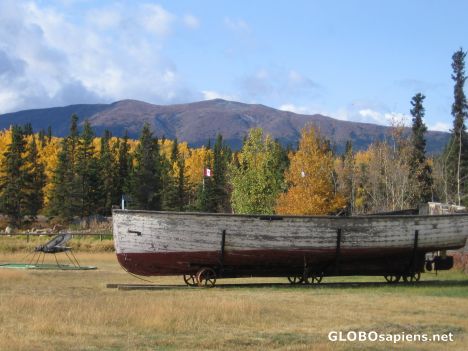 Postcard Stranded - Yukon