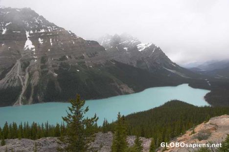 Postcard Peyto Lake