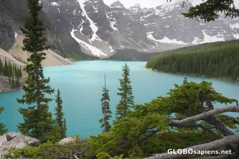 Postcard Moraine Lake