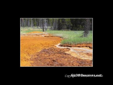 Postcard Ochre Beds
