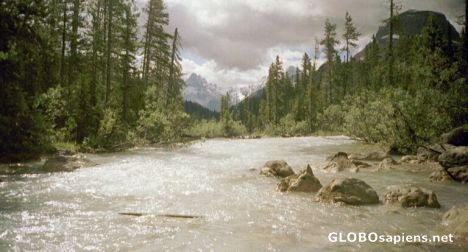 Postcard Canadian Rockies