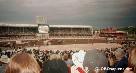 Postcard Calgary Stampede